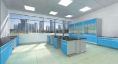 實驗室裝飾策劃和設(shè)計的一般要求。